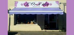 ORKIDEE