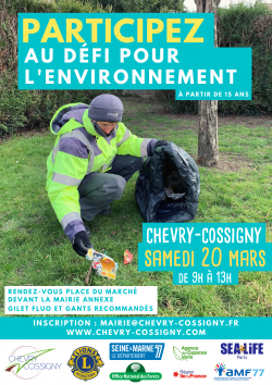 affiche défi pour l'environnement(2)