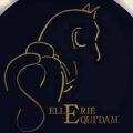 logo sellerie