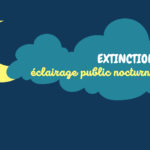 visuel actu site web(3)