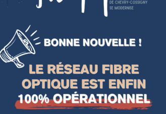 FIBRE OPTIQUE