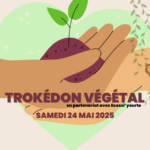 visuel actu site web(1)