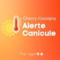 canicule