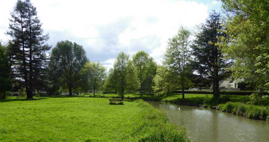 Image en couleur de format rectangulaire. On distingue au premier plan un espace vert où se trouve un banc. Sur la droite de l’image un plan d’eau de forme allongé en forme de boomerang. Les abords du plan d’eau sont jalonnés d’arbres sur les rives. Ce sont des arbres feuillus et des conifères de grandes tailles, en majeure partie exotiques, mais aussi des espèces indigènes comme un magnifique Frêne élevé (Fraxinus excelsior).