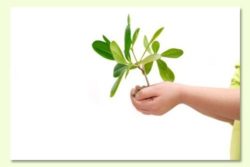 11209_fotolia_5766059_m